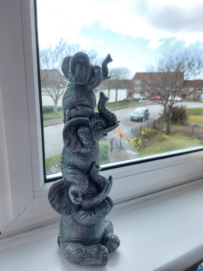 Teddy Bears' 3-Bedroom Maisonette Saltcoats Esterno foto